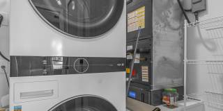 19 Vip Island Gallery 27