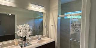 4619 FOREST PINES Drive Gallery 8