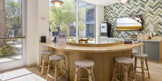 The Lotus Gallery 16