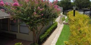 2400 Wickersham Ln, #1018 Gallery 3