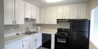 Tanglewood Gallery 1