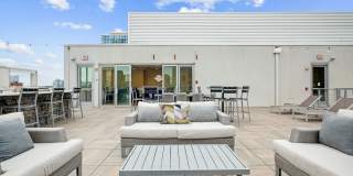 AQ Rittenhouse Gallery 18