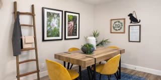 Canopy Gallery 5