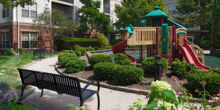 Aven at Newton Highlands Gallery 11