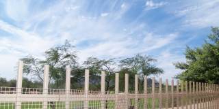 7901 E JOSHUA TREE Lane Gallery 11