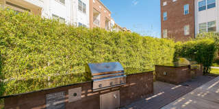 Novu New Forest Gallery 1