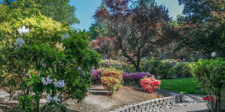 Hunt Club Gallery 27