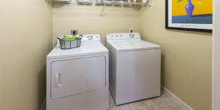 Montelago Gallery 34