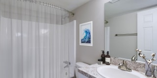 Silver Palms Gallery 7