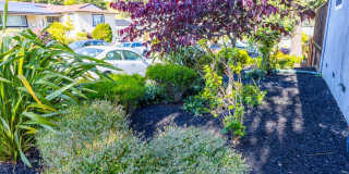 Amazing 4 bedroom home in one of Castro Valley's most desirable neighborhoods.  Owned solar! Gallery 31