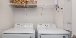 Alaina Park Gallery 10