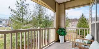 Reserve (Johnson City) Gallery 25