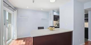 711 S Bayshore Blvd Gallery 13