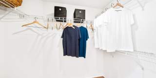 Saratoga Place Gallery 12