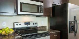 83 Rainey Street Gallery 4