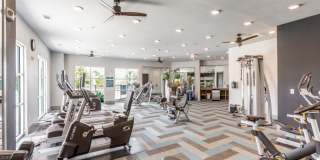 Williamson at the Overlook Gallery 12