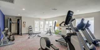 Terra Cotta Villa Gallery 9