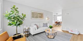 The View on Vivion Gallery 15