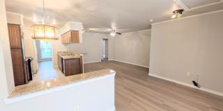 Leon Valley Gem!! Gallery 34
