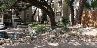 Beautiful Refreshed -  1BD / 1BA - W/D - North Campus - Law School - Engineering - W/D - $1100 Gallery 1
