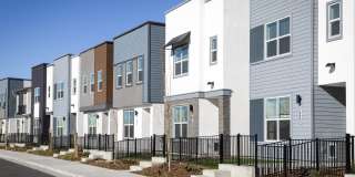 Cyrene at Meadowlands Gallery 49