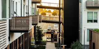 The Union Flats Gallery 45