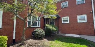 21301 Kingsville Street - 1 21301 Kingsville Street - 1 Gallery 2