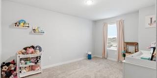 3523 Rancho Grande Gallery 17