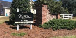 Oxford's Premier 55+ Community- Cobblestone Trace Gallery 3