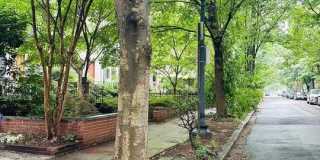 2639 WOODLEY Place NW Gallery 4