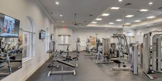 4085 BAHIA ISLE Circle Gallery 37