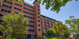 1 Bed, 1 Bath at Carolina Walk - Steps from Williams Brice Stadium! Gallery 1