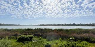 Waterfront Condo on the Buena Vista Lagoon - 5 mins from Carlsbad Village! Gallery 27