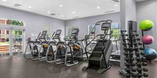 TGM Ridge Gallery 25