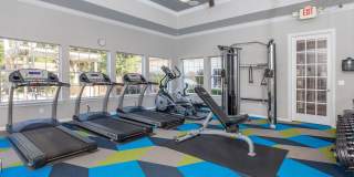 Regatta Bay Gallery 15