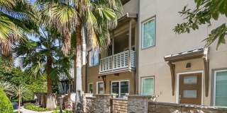 Doheny Beach Gem Gallery 1