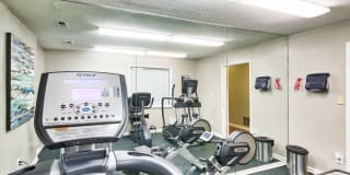 The Villages Gallery 12