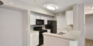 Grove at SouthShore Gallery 49