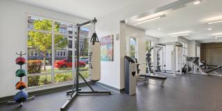 The Lotus at Starkey Ranch Gallery 33