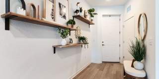 Welcome Canary Gallery 26