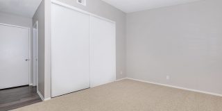 Mountain Springs Gallery 31