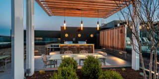 Fitzroy Gallery 10
