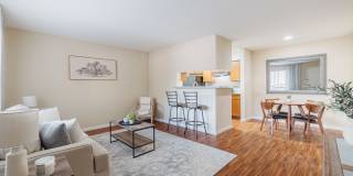 Winchester Place Gallery 11