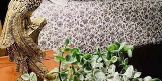 5246 WEDGEWOOD LANE Gallery 14