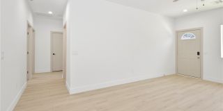 2001 S Dandelion Street Gallery 15