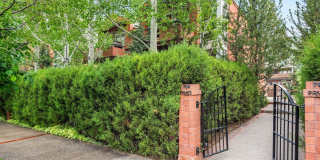 706 E Hyman Avenue unit: 706 Gallery 1