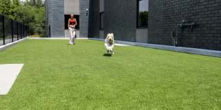 Wren on the Creek Gallery 42