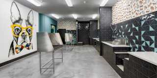 Three Collective Gallery 33