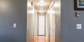 Cozy Gem,Dog-Friendly, Near Outdoor Escapes Gallery 15