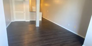 Harney Street Apartments Gallery 19